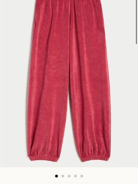 Suzi Kondi Terry Jogger Pants in Limited Framboise Color